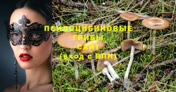прущие грибы Арсеньев