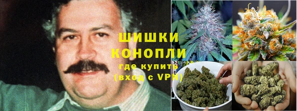 Альфа ПВП Аркадак