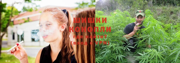прущие грибы Арсеньев