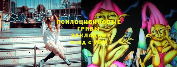 прущие грибы Арсеньев