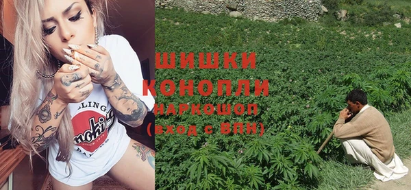 прущие грибы Арсеньев