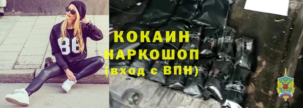 прущие грибы Арсеньев