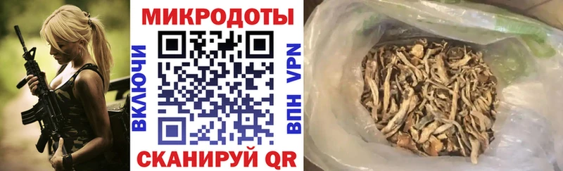 Псилоцибиновые грибы Cubensis  Когалым 