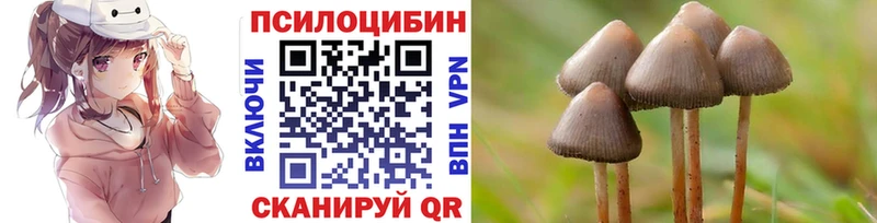 Псилоцибиновые грибы Psilocybine cubensis Когалым